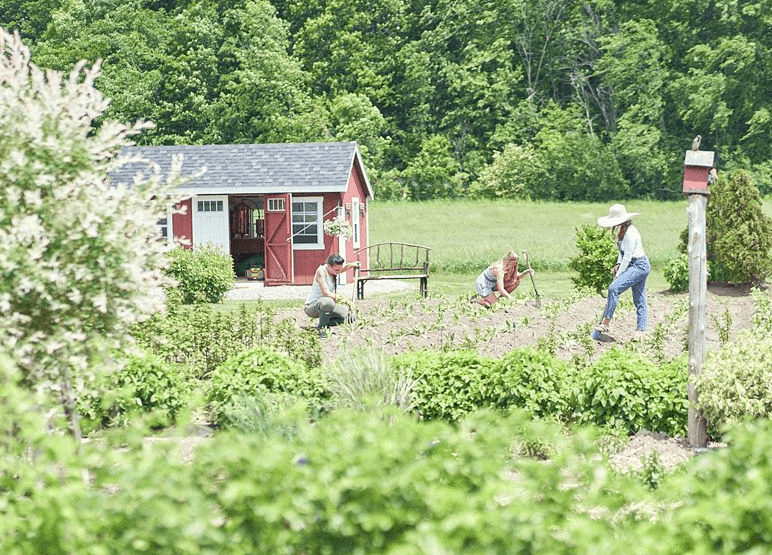 three people working in farm field